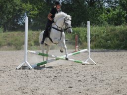 img_3611_web